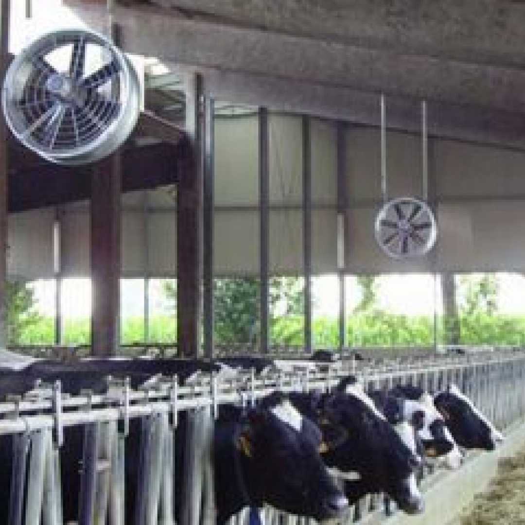 مقابله با استرس گرمایی در گله های گاو شیری-بخش سوم